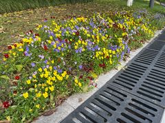 -苏州河梦清园环保主题公园