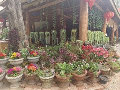 -西双版纳傣族园