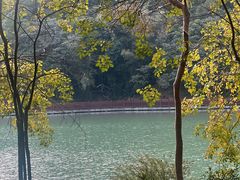 -广州白江湖森林公园