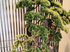 -溪畔•新徽菜(碧湖云溪店)