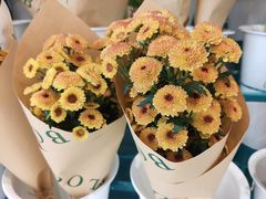 -BOBLOOM花店(宝龙旭辉广场店)
