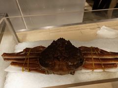 -绿地万豪酒店-城市节奏餐厅
