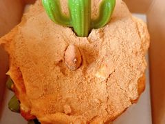 -星巴克臻选(北京富力家园店)