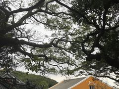 -普陀山慧济禅寺