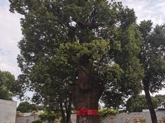 -养云安缦吧THE BAR