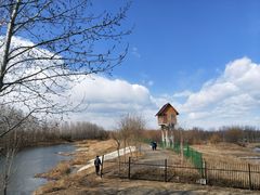 -东郊湿地公园