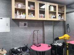 -宠福鑫康馨动物医院·骨科·眼科