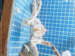 -杭越海鲜(迪荡店)