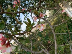 -白塘生态植物园