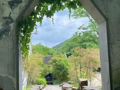 -惠山国家森林公园