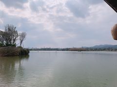 -江门古劳水乡旅游区
