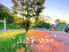 -牛岗山公园