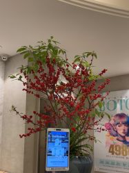 -深圳鹏爱秀琪医疗美容医院