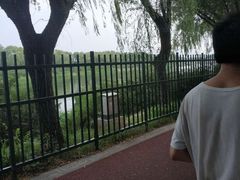 -亲兄弟真人CS团建拓展基地