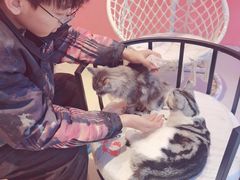 -藏猫猫咖啡主题馆(中央大道店)