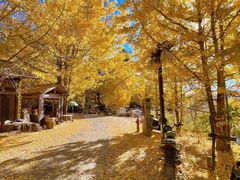 -腾冲云峰山