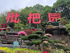 -枇杷园食为鲜火锅(南山店)