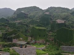 -枸杞岛