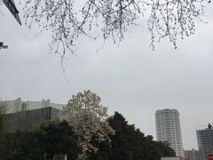 -飞洲国际广场