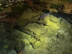 -趵突泉景区