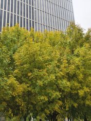 -呼拉汇舞蹈生活馆 Hawaii Hula&Tahiti Dance Studio