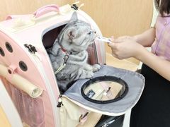 -美联众合动物医院·24h京西诊疗中心