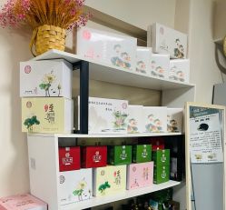 -苗塑堂减肥艾灸