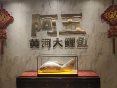 -阿五黄河大鲤鱼(纬三路店)