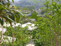 -桃源山庄·水蜜桃采摘·柴火鸡·烧烤团建(龙泉山店)