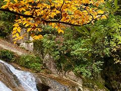 -光雾山旅游景区