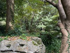 -杭州植物园