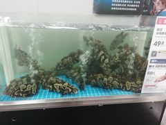 -盒马鲜生(大成店)