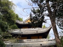 -龙华素斋(龙华路店)