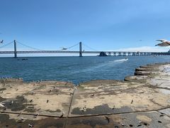 -星海广场