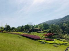 -铁山坪森林公园