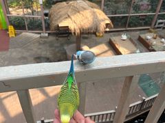 -南宫五洲植物乐园