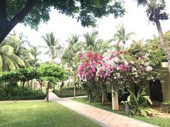 -三亚亚龙湾天域度假酒店