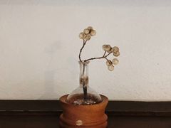 景观位-Ginko银子(青龙街店)