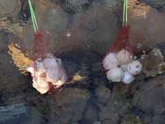 -天芳悦潭度假村温泉