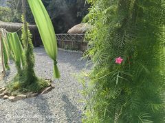 -北仑森林植物园