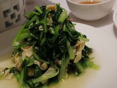 -新吉士·上海菜(浦东LCM置汇旭辉店)