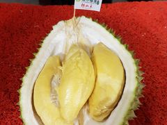 -都念榴莲·城市榴莲