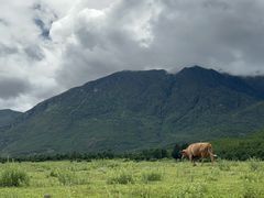 -玉湖村