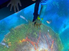 -珠海横琴国家地理探险家中心(创新方)