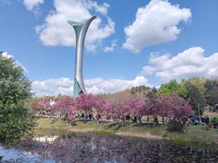 -沈阳植物园