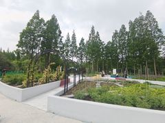 -黄兴公园