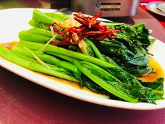 -山东八大碗山东老字号