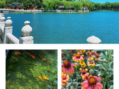-北海公园