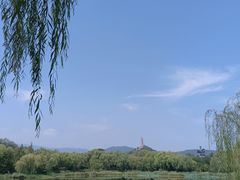 -北坞公园