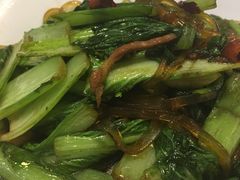 青菜红薯粉-满堂春特色餐馆
